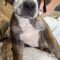 Jethro