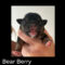 Bearberry