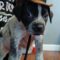 Cowboy