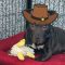 Cowboy-Bob
