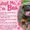 Bea Arthur