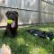 Bea Arthur
