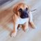 Princess Peach